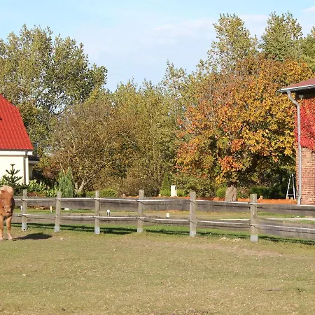 Cozy Holiday In Near Baltic Sea Coast Ferienhaus Ostseebad Kühlungsborn